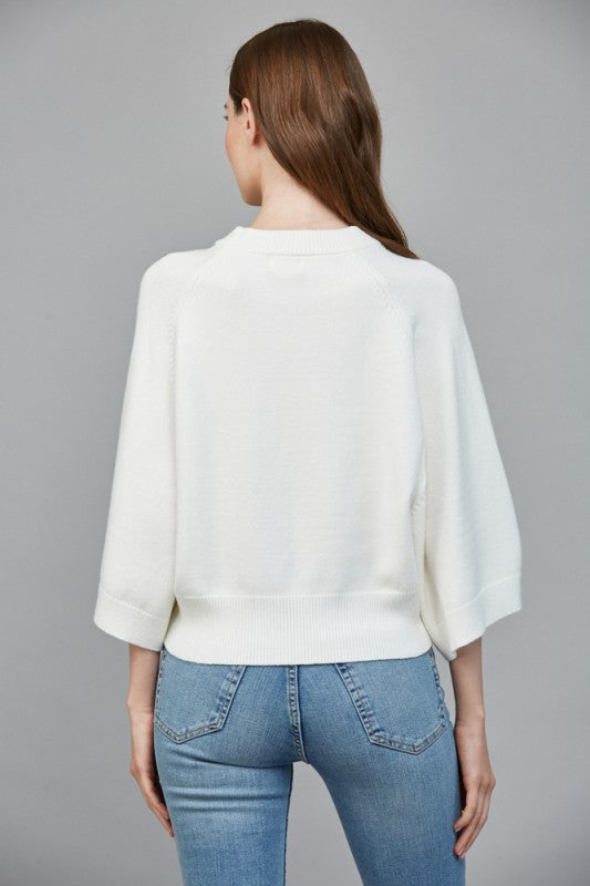 Reglan Wide Sleeve Sweater
