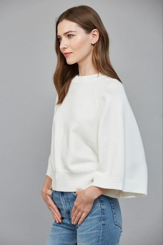 Reglan Wide Sleeve Sweater