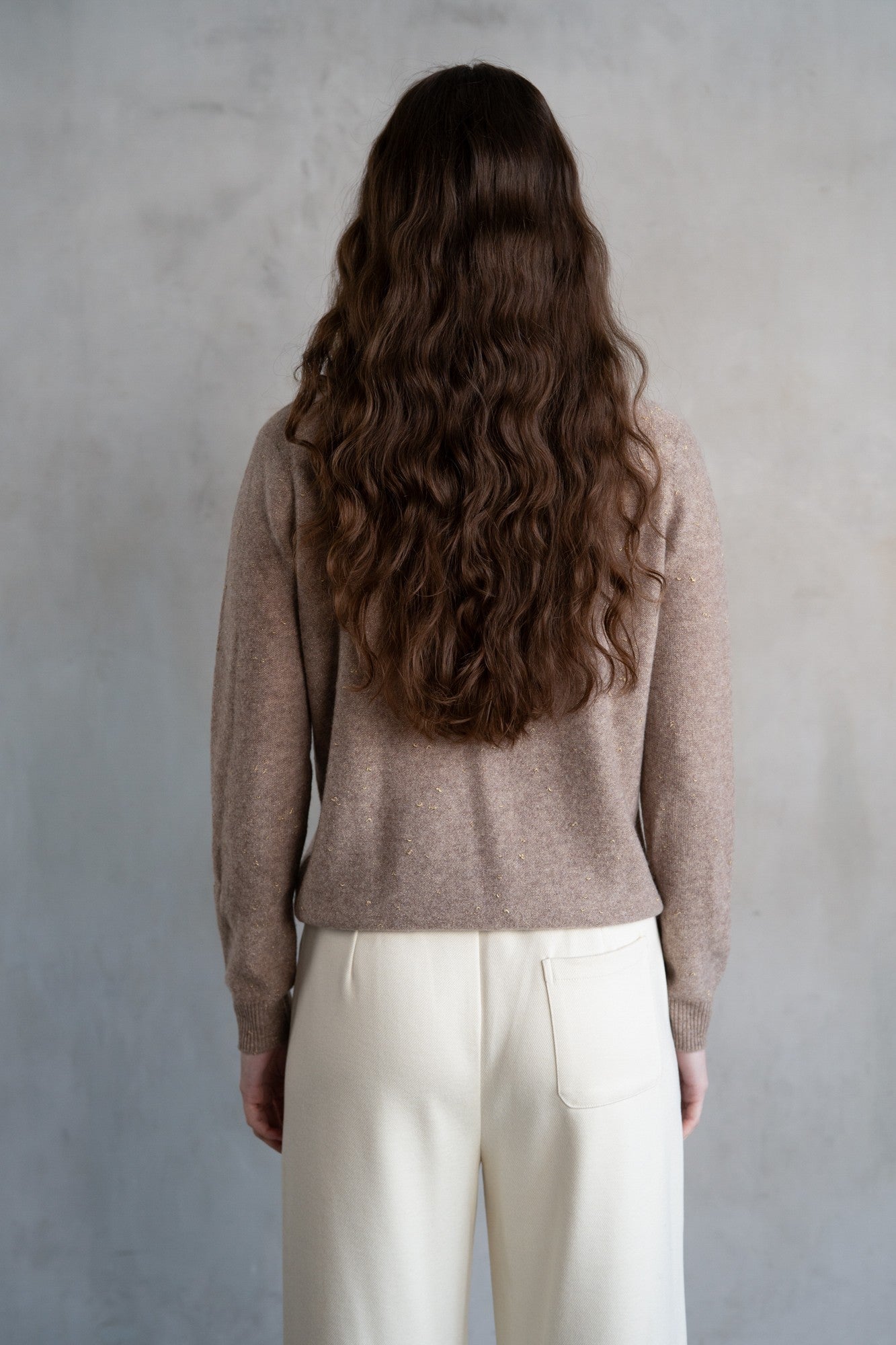 Sparkled Crew Neck Sweater