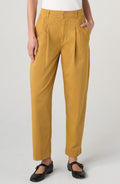 Pleated Trousers