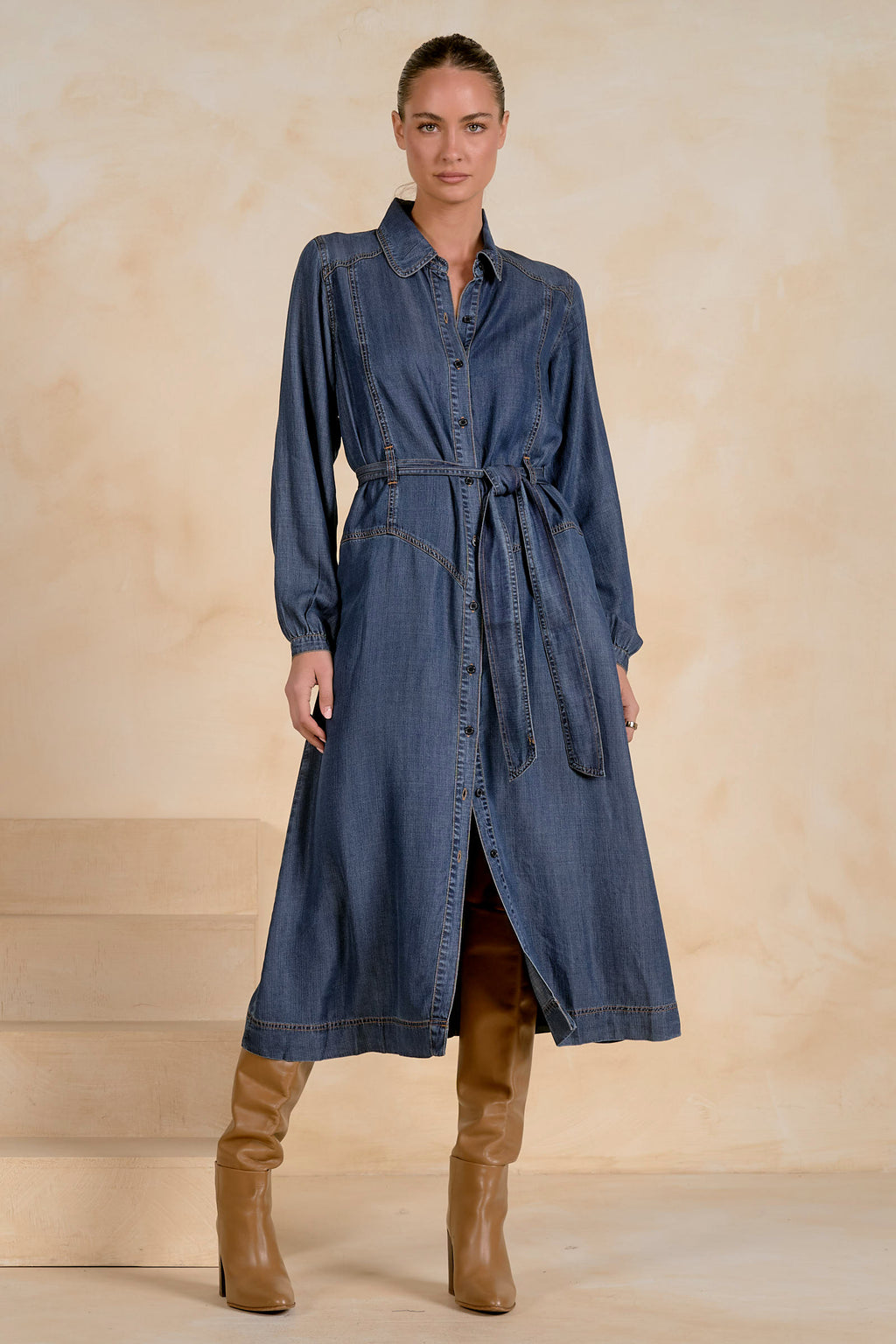 Button Down denim Dress