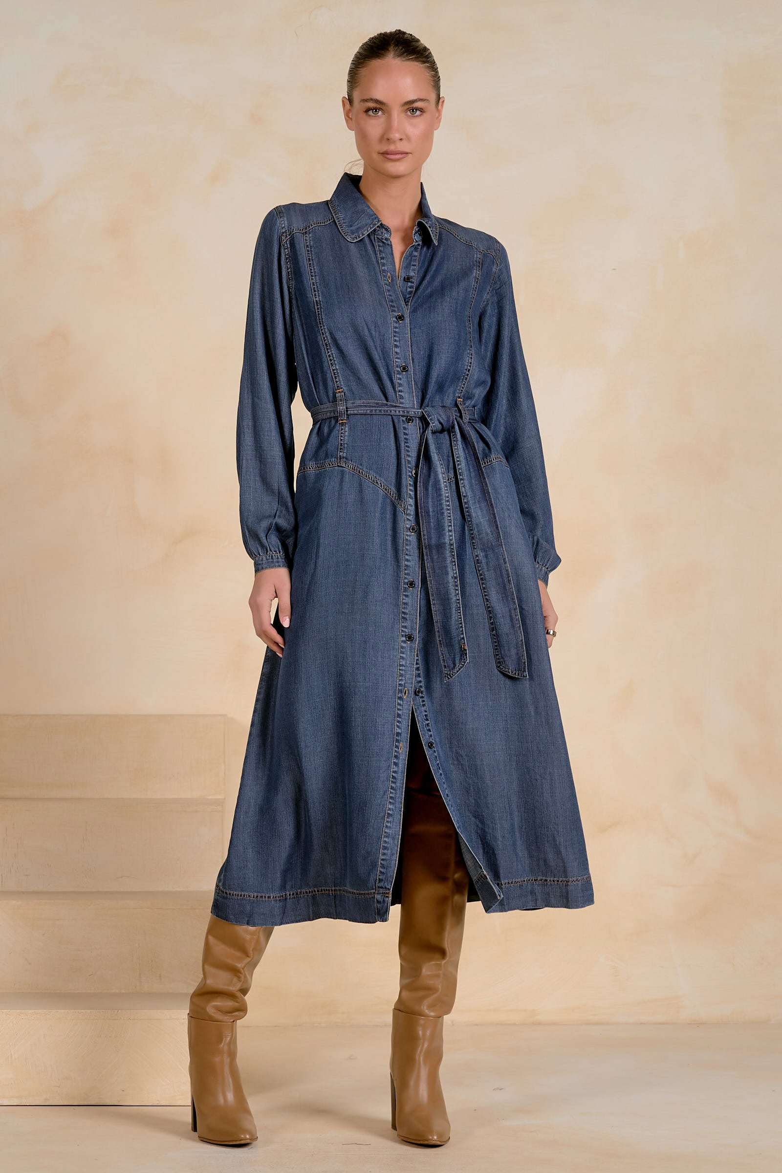 Button Down denim Dress